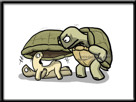 Respuestas de examenes